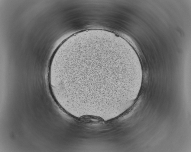 X0000112401149200909251430
