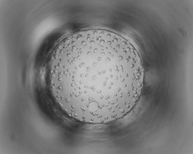 X0000112401150200909251430