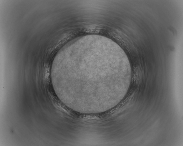 X0000112401154200909251430