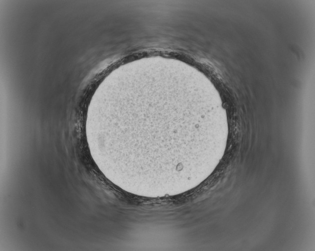 X0000112401159200909251430