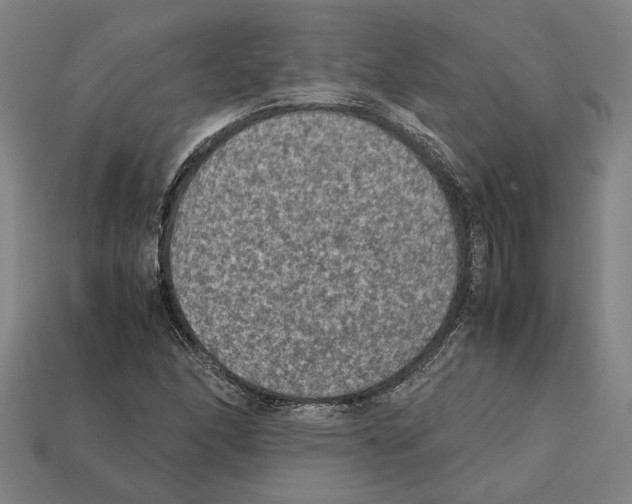 X0000112401166200909251430