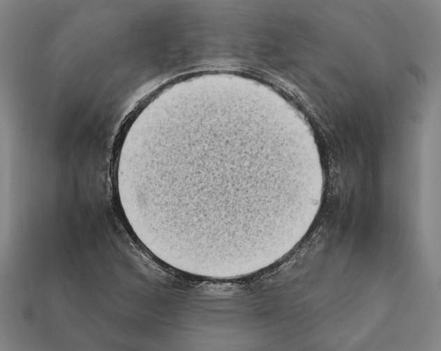 X0000112401168200909251430