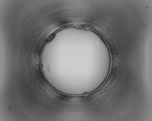 X0000112401169200909251430