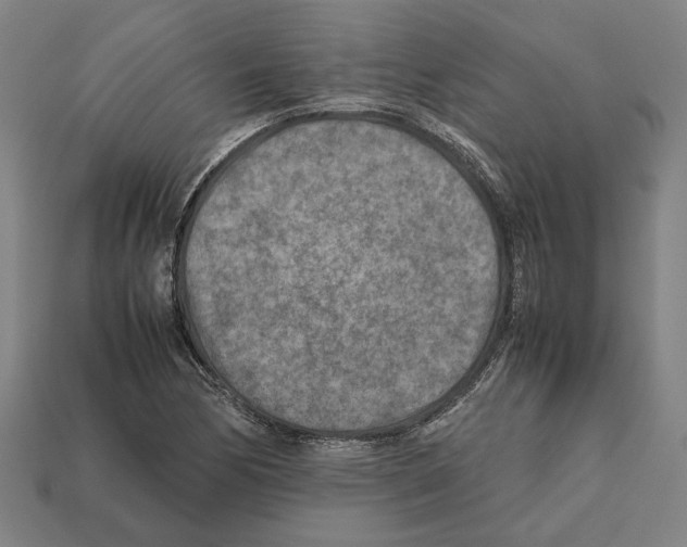 X0000112401170200909251430