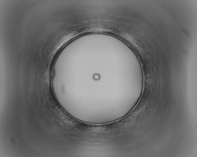 X0000112401173200909251430