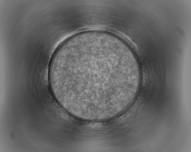X0000112401174200909251430