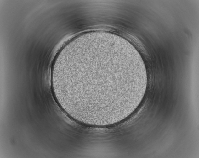 X0000112401180200909251429