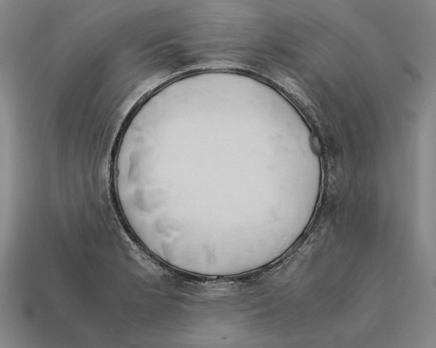 X0000112401181200909251429