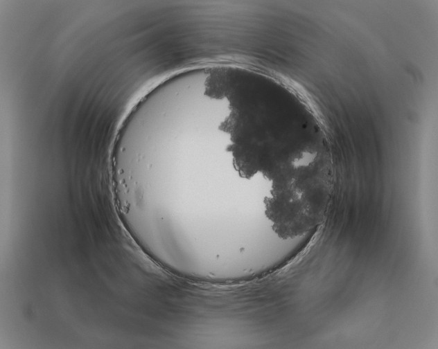 X0000112401184200909251429