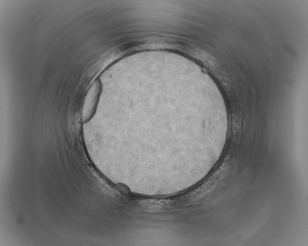 X0000112401185200909251429