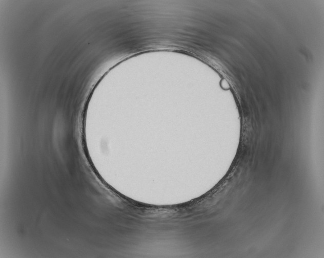 X0000112401187200909251429