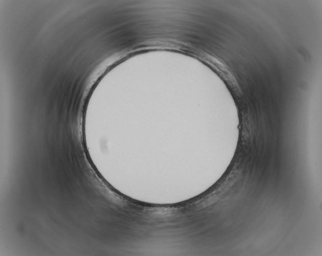 X0000112401188200909251429
