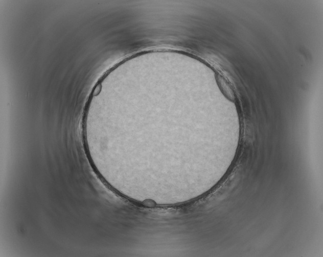 X0000112401189200909251429