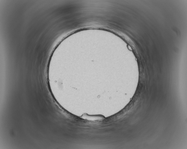 X0000112401191200909251429
