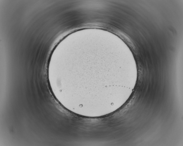 X0000112401192200909251429