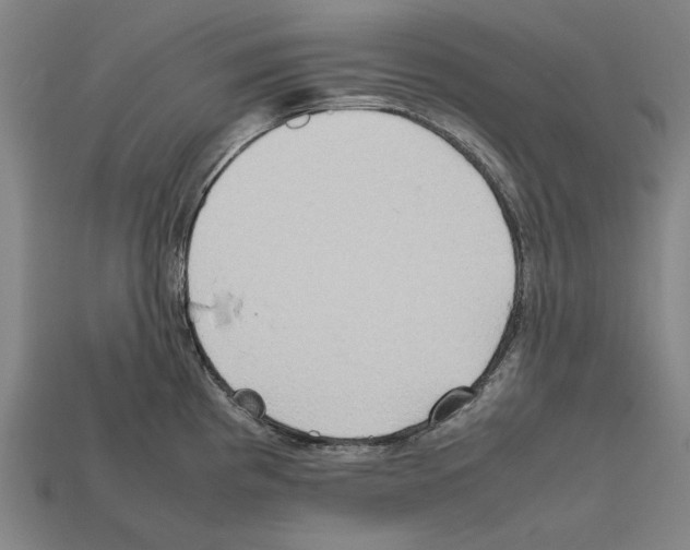 X0000112401193200909251429