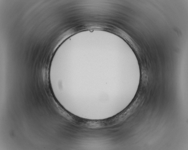 X0000112401194200909251429