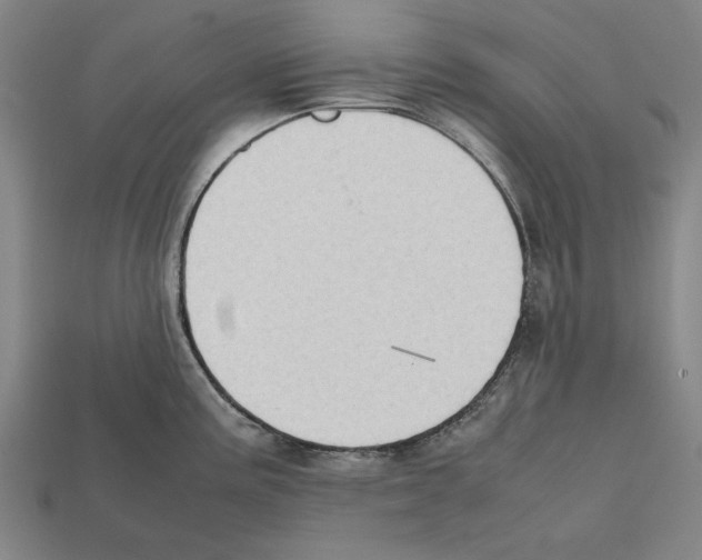 X0000112401195200909251429