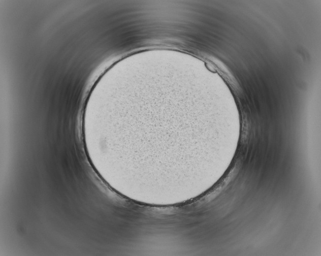 X0000112401196200909251429