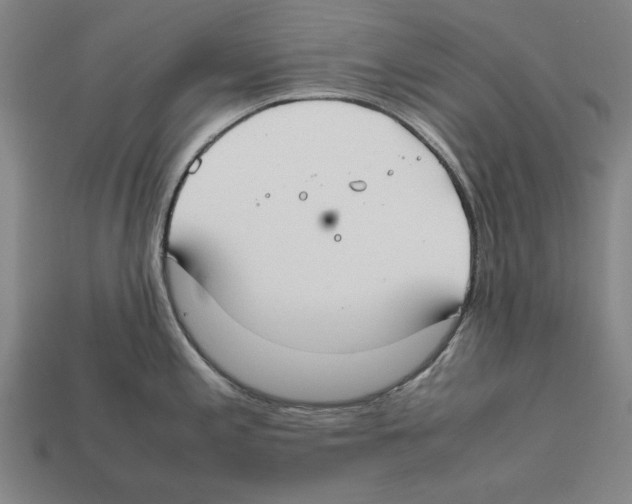 X0000112401197200909251429