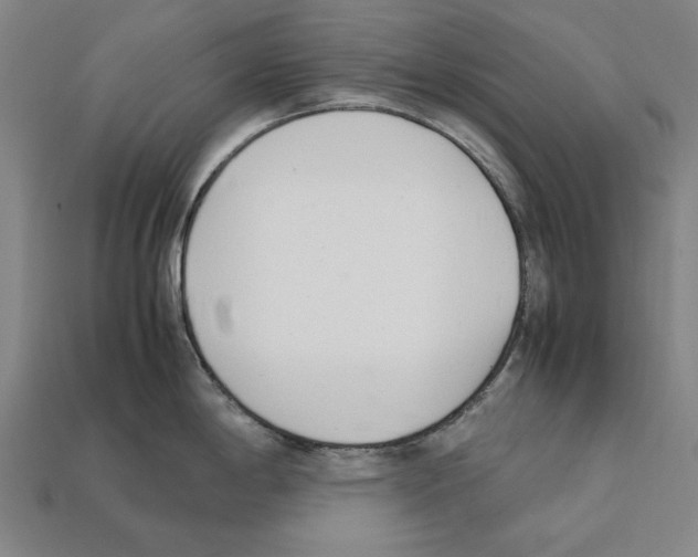 X0000112401198200909251429