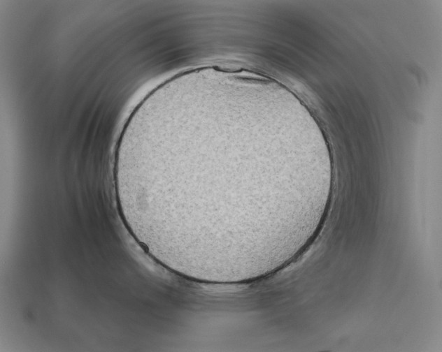 X0000112401200200909251429