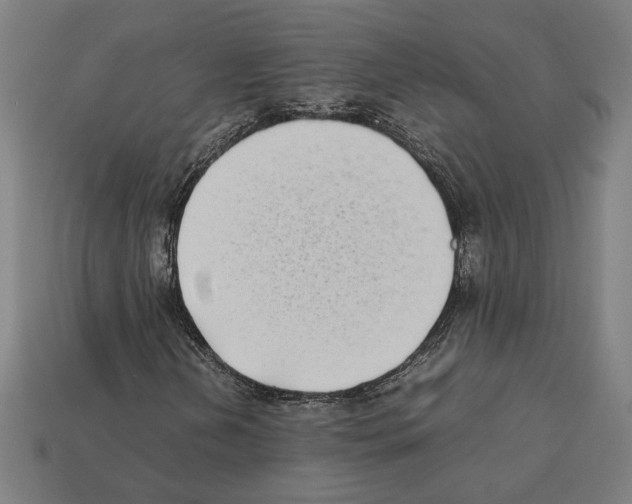 X0000112401202200909251429