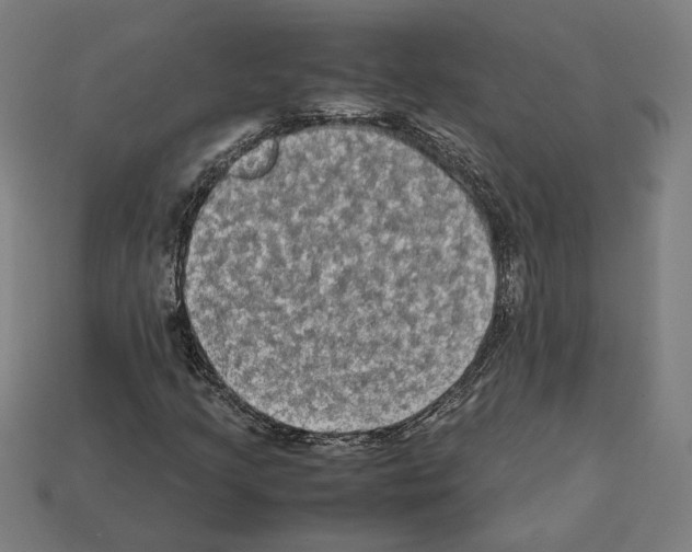 X0000112401205200909251429
