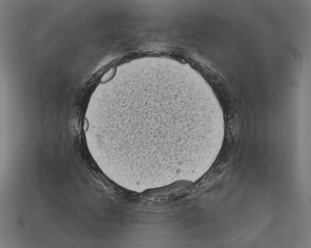 X0000112401206200909251429