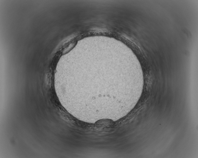 X0000112401207200909251429