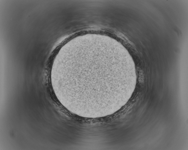 X0000112401208200909251429