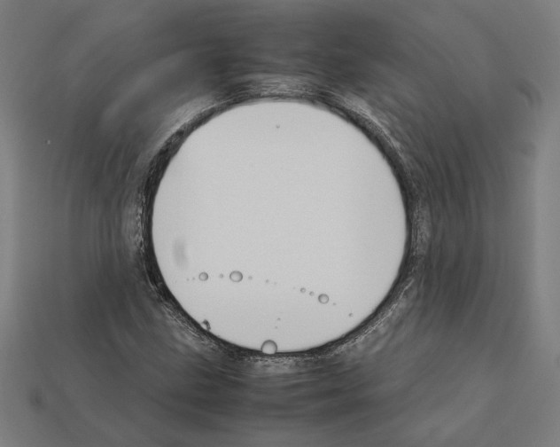 X0000112401211200909251429