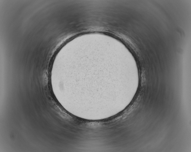 X0000112401212200909251429
