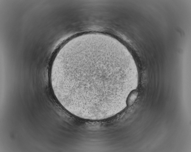 X0000112401214200909251429