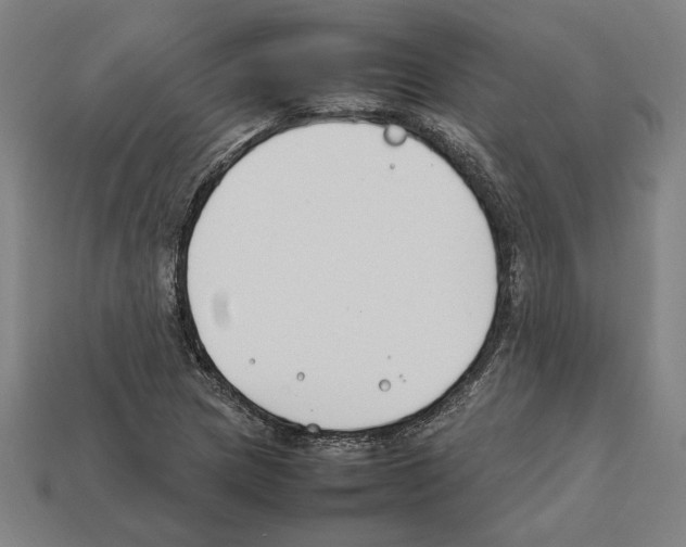 X0000112401217200909251429