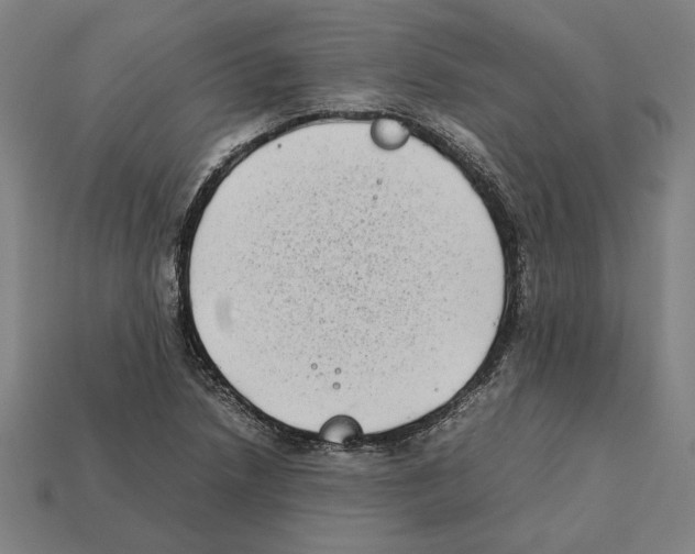 X0000112401218200909251429