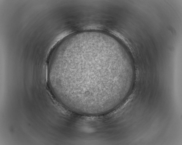 X0000112401219200909251429