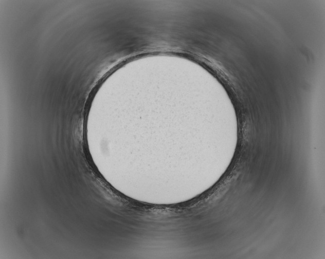 X0000112401220200909251429
