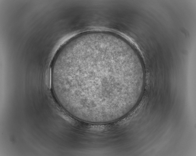 X0000112401223200909251429