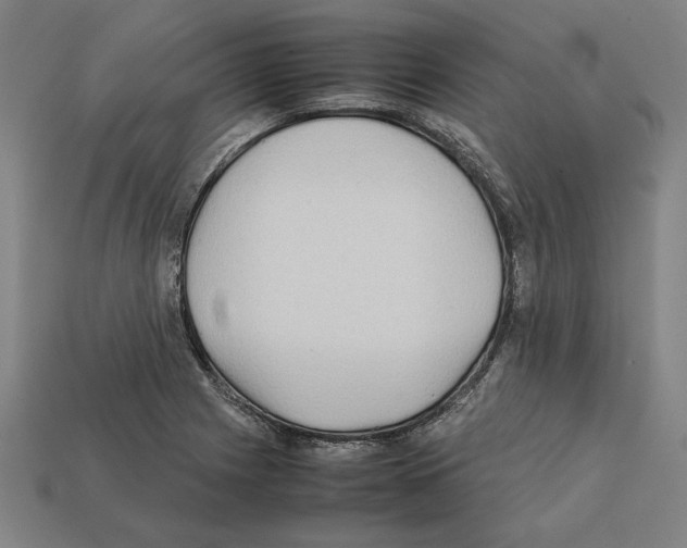 X0000112401225200909251429