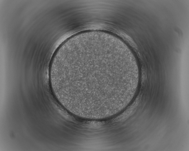 X0000112401226200909251429