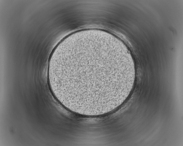X0000112401228200909251429