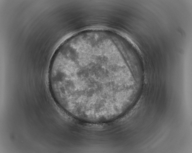 X0000112401229200909251429