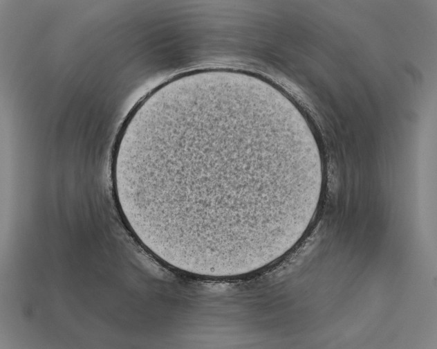 X0000112401230200909251429