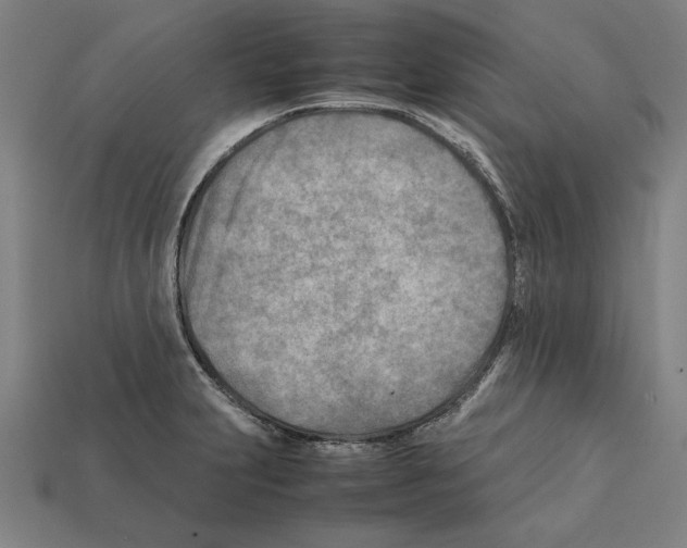 X0000112401231200909251429