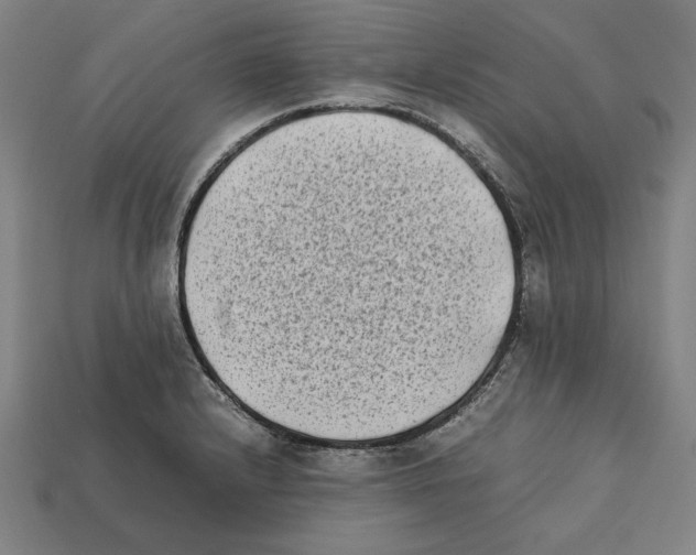 X0000112401232200909251429