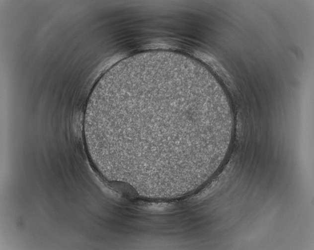 X0000112401233200909251429