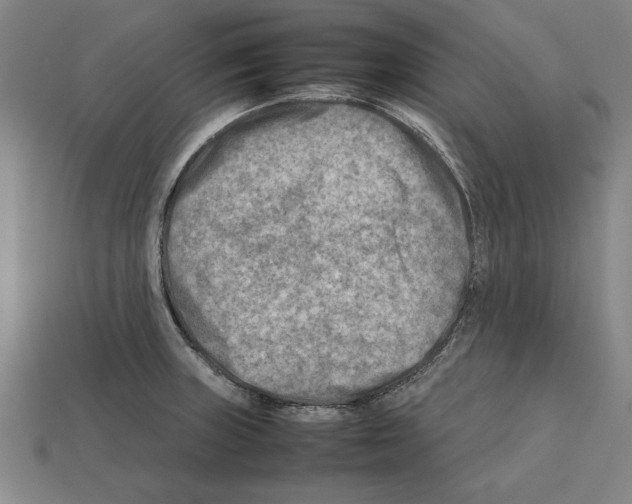 X0000112401235200909251429