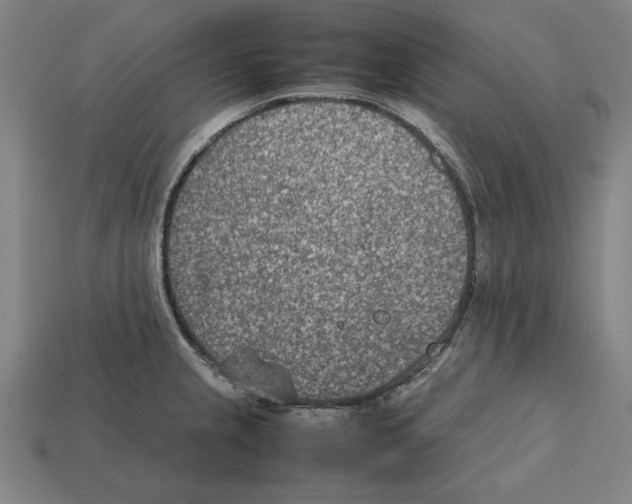X0000112401237200909251429