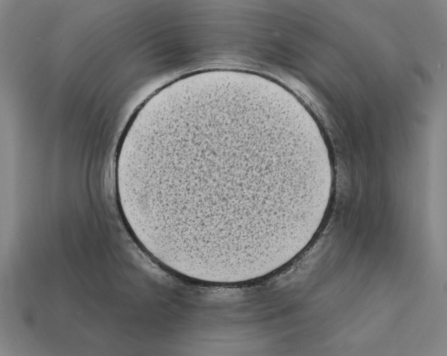 X0000112401238200909251429